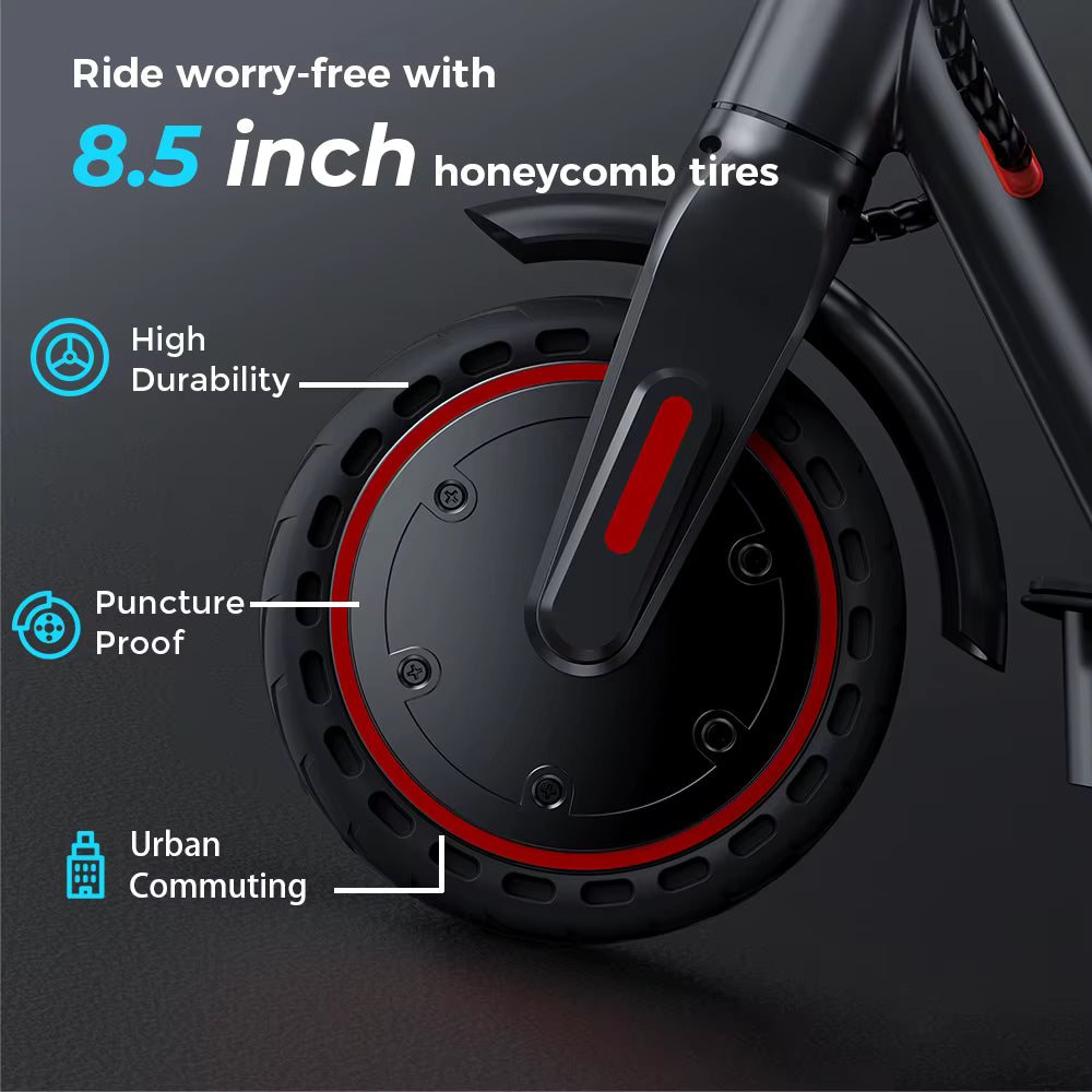 Adult Electric Scooter
